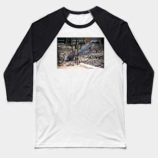 Lyrebird Display Baseball T-Shirt